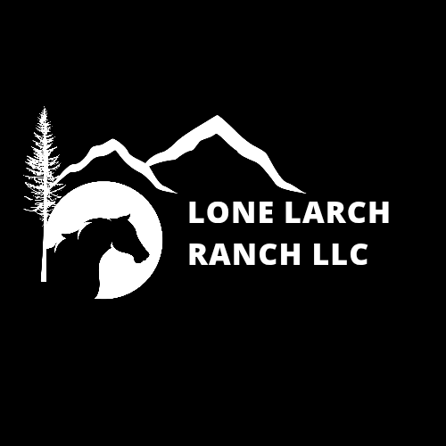 Lone Larch Ranch